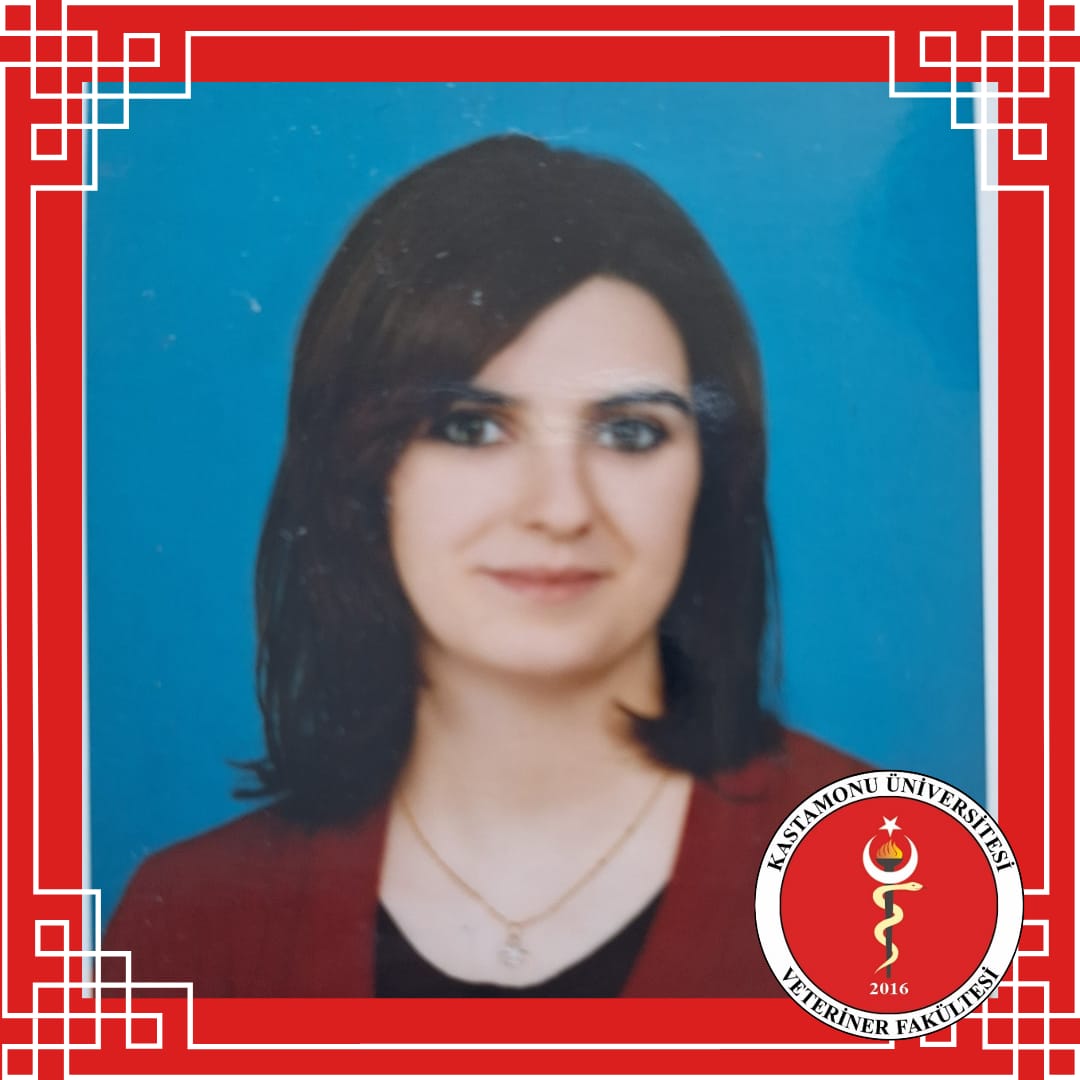  Özlem ÜSTÜNSOY