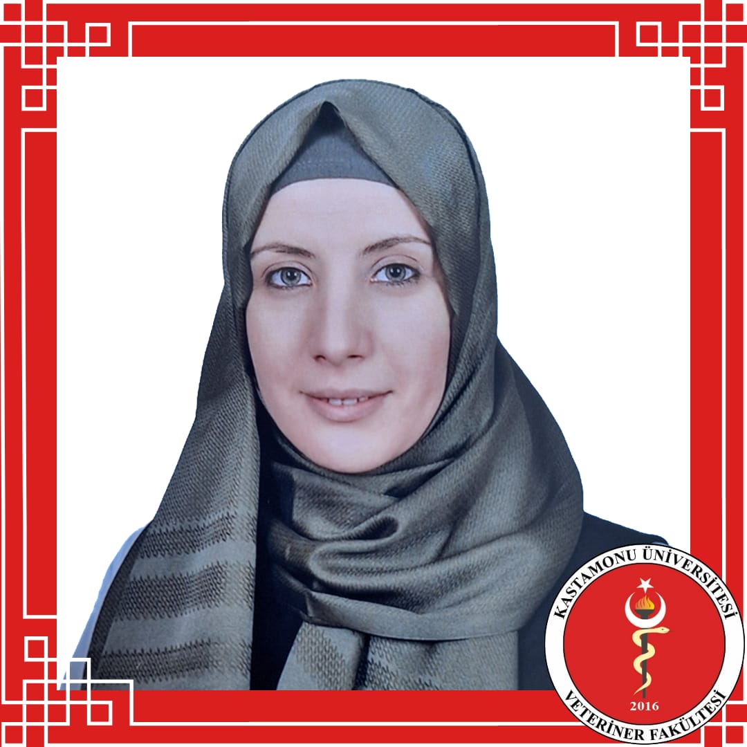 Sibel ÇELİK