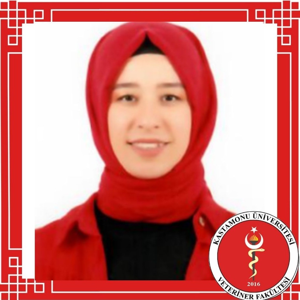 Dr. Öğr. Üyesi Firdevs YILMAZ DAYANÇ