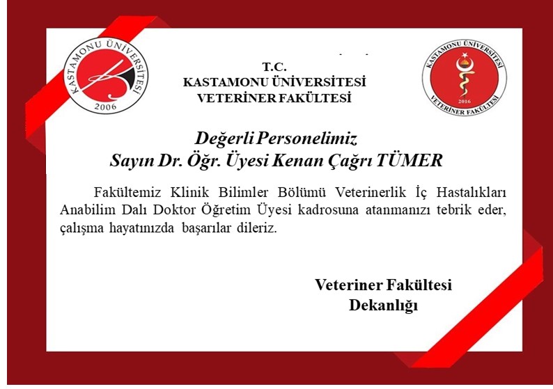 Kenan Çağrı Tümer4.jpg